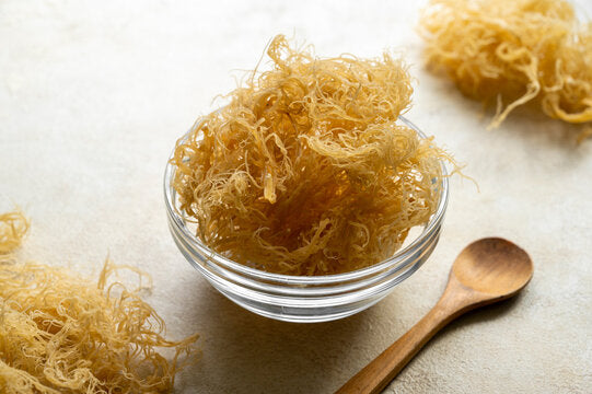 16oz Sea Moss Gel