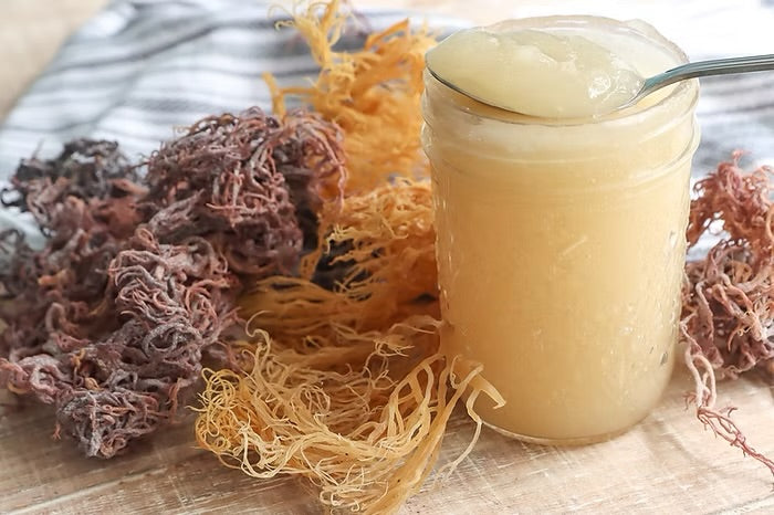 16oz Sea Moss Gel