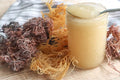 16oz Sea Moss Gel